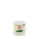 Vela Perfumada Frescor Revigorante 170g